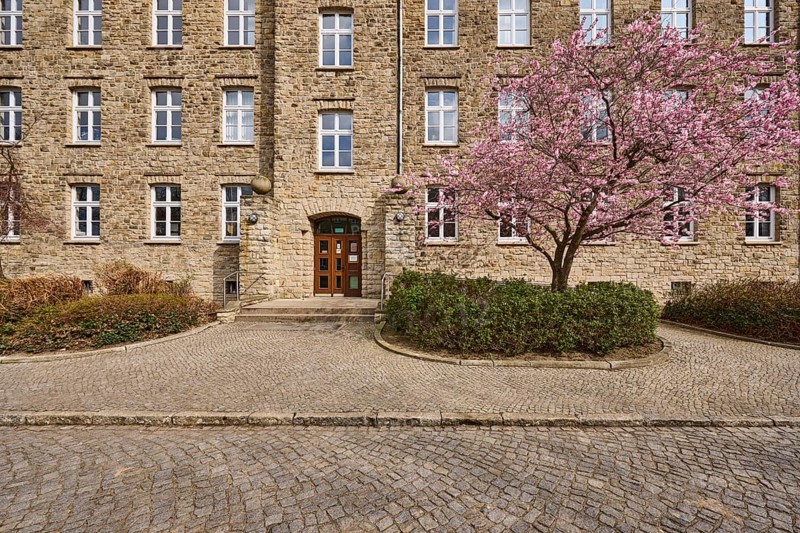 Tax office, sandstone building, flowering tree, Japanese flowering cherry (Prunus serrulata), hedge, cobblestone street, façade, window, entrance area, door, staircase, Tessenowstraße, Magdeburg, state capital, independent city, Saxony-Anhalt, Germany