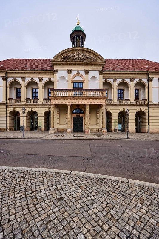 Historic town hall, old town centre, sandstone building, diffuse light, cloudy, Alter Markt, Magdeburg, state capital, independent city, Saxony-Anhalt, Germany