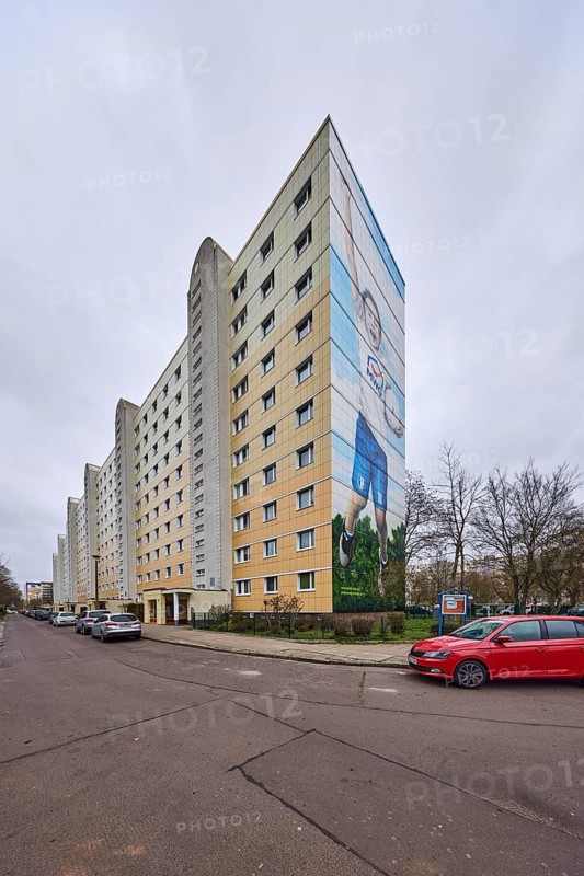 High-rise buildings, residential building, facade, window, advertising painting, MWG-Wohnungsgenossenschaft eG Magdeburg, car park with vehicles, bare wintry trees, diffuse light, cloudy, Lumumbastraße, Magdeburg, state capital, independent city, Saxony-Anhalt, Germany