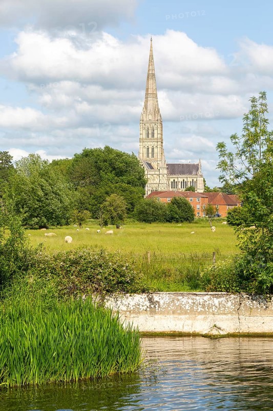 View from Harnham Lock over water meadows to Salisbury cathedral church, Salisbury, Wiltshire, England, UK