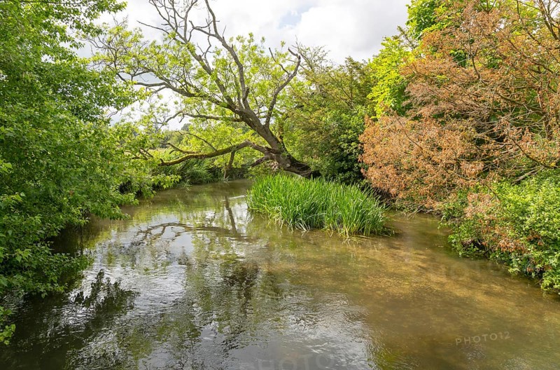 River Avon tributary stream near Harnham Water meadows, Salisbury, Wiltshire, England, UK