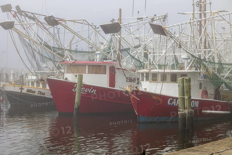 Commercial shrimp boats at the dock in the commercial area of the Biloxi Small Craft Harbor in Biloxi, Mississippi