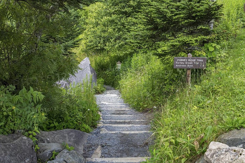 Entrance to Forney Ridge Trail, Forney Creek Trail and Andrews Bald Trail from Clingman's Dome in the Great Smoky Mountains National Park