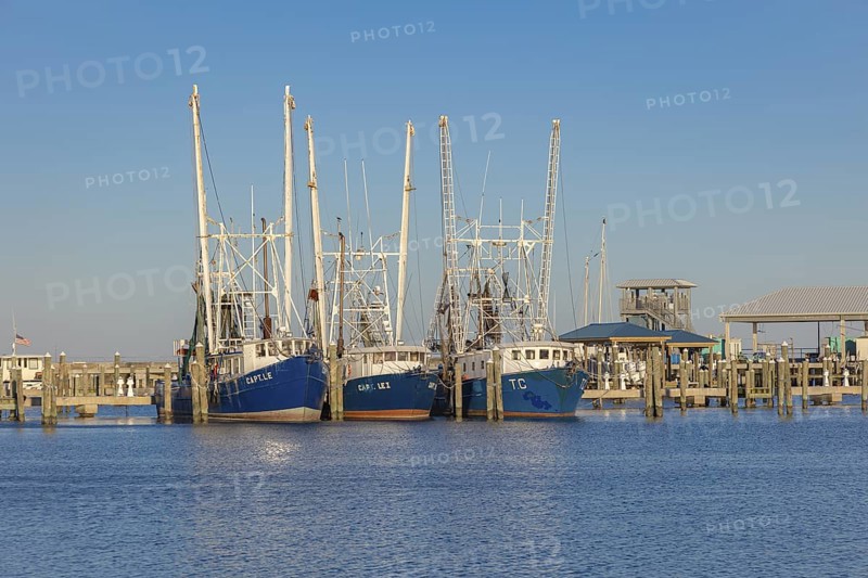 Commercial shrimp boats in the harbor at Pass Christian, Mississippi