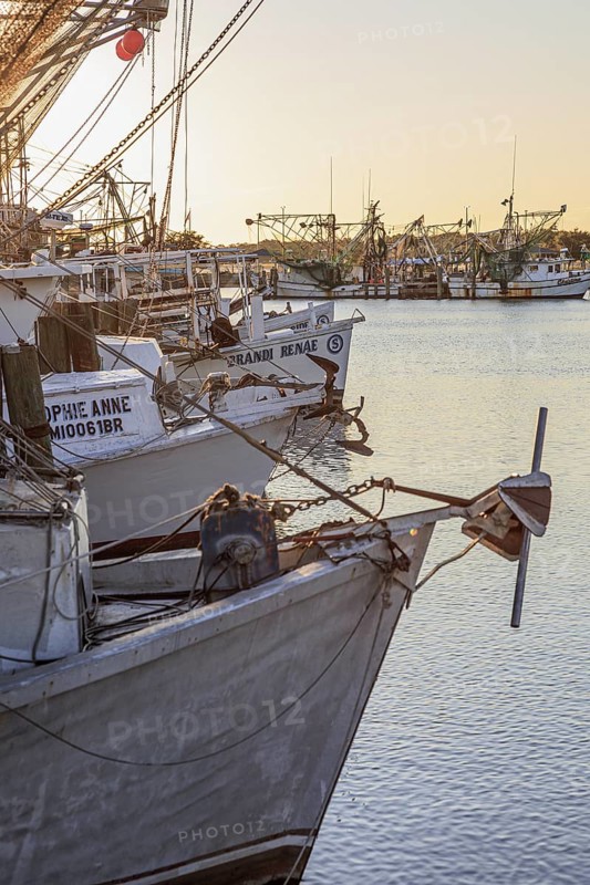 Commercial shrimp boats in the harbor at Pass Christian, Mississippi at dusk