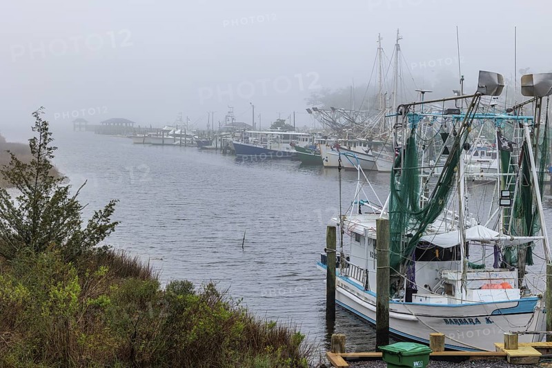 Commercial fishing boats in the harbor at Ocean Springs, Mississippi on a foggy morning