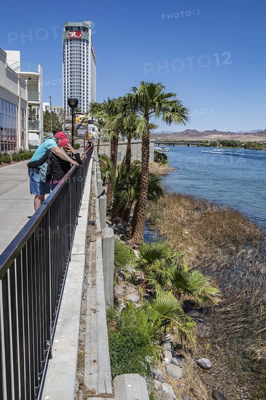Couple looking at cell phone on sidewalk overlooking jet ski activity on the Colorado River in Laughlin, Nevada