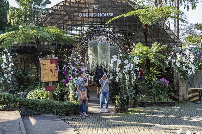 Woman taking selfie photo at the Orchid House at Mae Fah Luang Gardens within the Doi Tung tourist attraction in Chiang Rai, Thailand