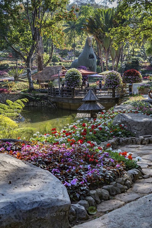 Llama tree at Mae Fah Luang Gardens within the Doi Tung tourist attraction in Chiang Rai, Thailand