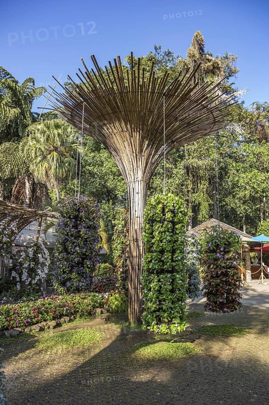 Fanned out column of bamboo holds hanging planters with colorful flowers at Mae Fah Luang Gardens within the Doi Tung tourist attraction in Chiang Rai, Thailand
