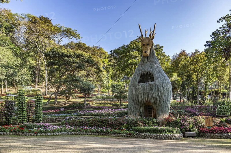 Llama tree at Mae Fah Luang Gardens within the Doi Tung tourist attraction in Chiang Rai, Thailand
