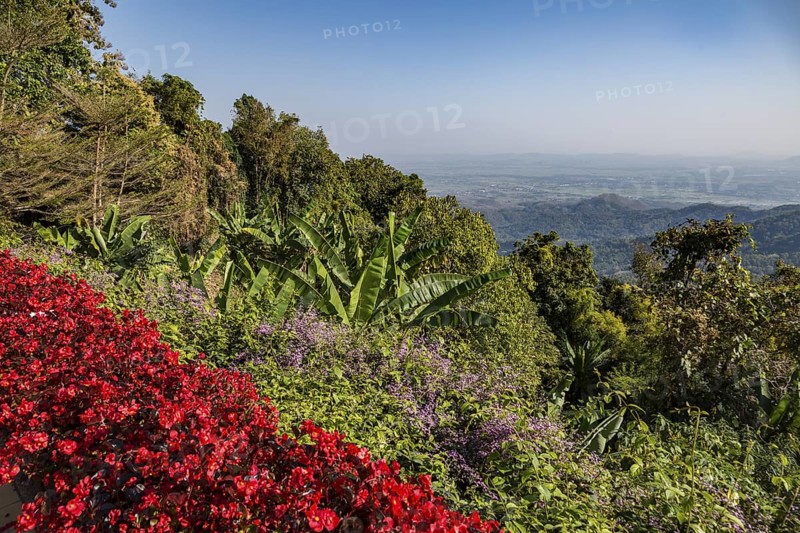 Colorful lush flower gardens line the perimeter of the mountain top Doi Tung Royal Villa lawn with a panoramic view of the surrounding land at the Doi Tung tourist attraction in Chiang Rai, Thailand