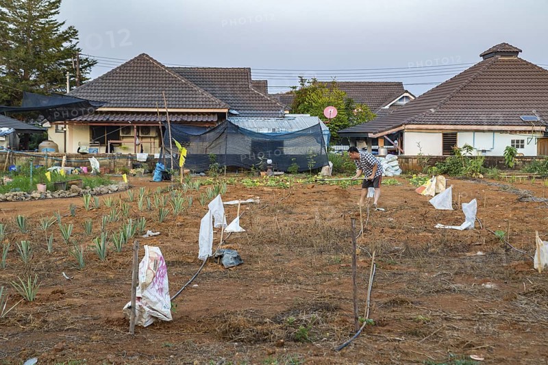 Thai man preparing soil for planting his small farm in a residential area of Chiang Rai, Thailand