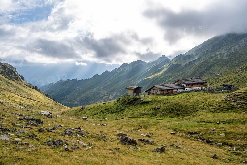 Alpine meadows with Martalm, Lazzacher Tal, Seven Lakes Hike, Stubai Alps, near Ridnaun, South Tyrol, Italy