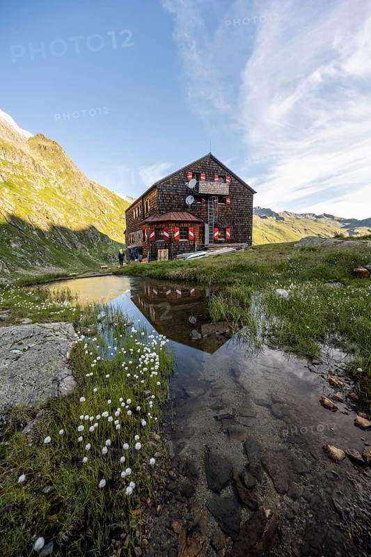 Mountain hut Elberfelderhütte with small lake and cotton grass, in the morning light, in the upper Gössnitz valley, Wiener Höhenweg, Schober group, Hohe Tauern National Park, Carinthia, Austria