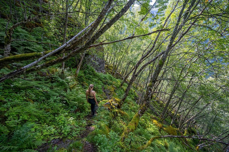 Young woman on a hiking trail in a steep forest with birch trees, near Geiranger, Møre og Romsdal, Norway