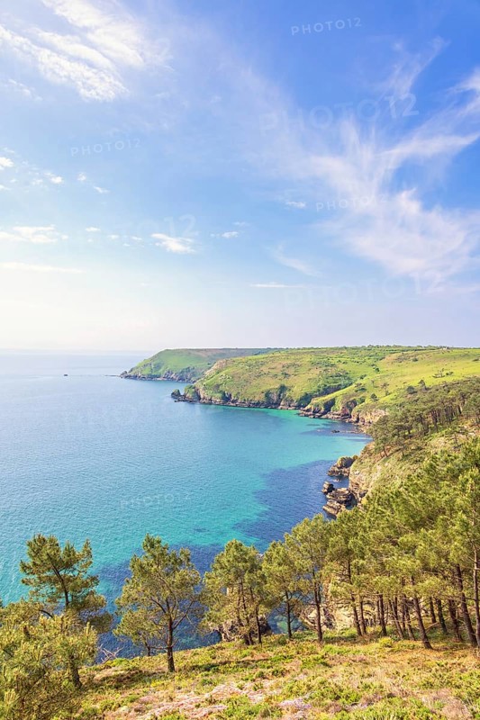 Scenics view at a rocky coastline with pine trees and a sea view to the horizon a sunny summer day by the sea, Crozon peninsula, Bretagne, France