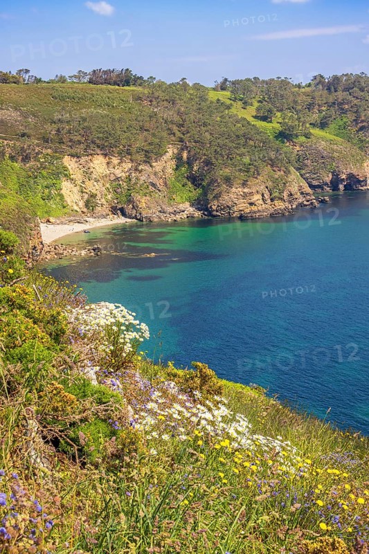 Wildflowers in bloom on a meadow by a rocky coastline with a seabay a sunny summer day by the sea, Crozon peninsula, Bretagne, France