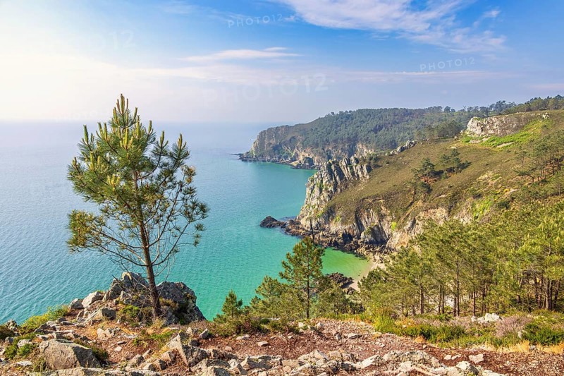 Scenics view at a rocky coastline with pine trees and a sea view to the horizon a sunny summer day by the sea, Crozon peninsula, Bretagne, France