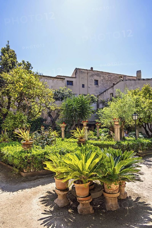 Lush green plants in terracotta pots in on a garden path at the beautiful Banys Arabs garden a sunny summer day, Banys Arabs, Palma de Mallorca, Mallorca, Spain