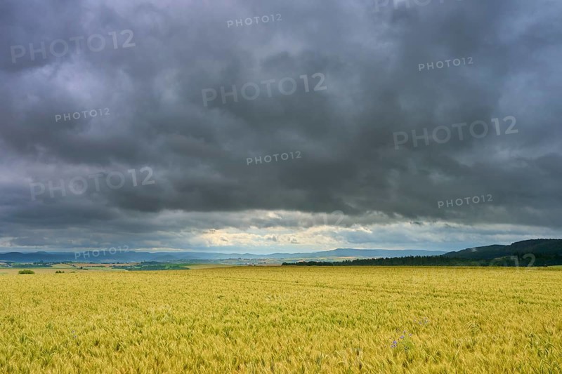 Crop field under a cloudy sky with distant view, summer, Germerode, Geo nature park Park Frau-Holle-Land, Hoher Meissner, Hesse, Germany