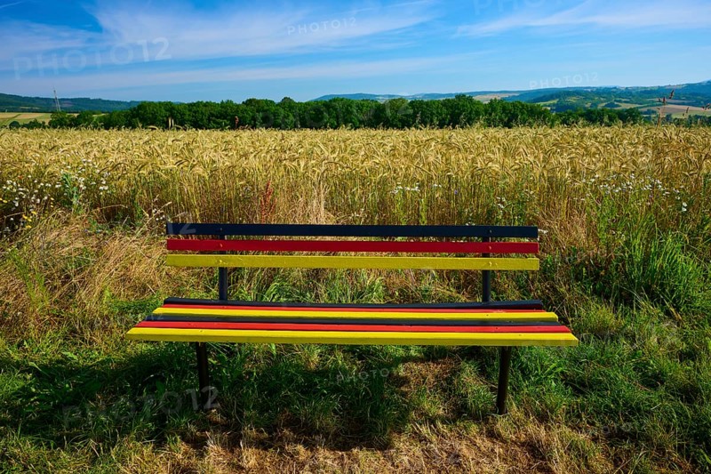 Bench in German colours in front of a golden grain field under a clear sky, summer, Germerode, Geo nature park Park Frau-Holle-Land, Hoher Meissner, Hesse, Germany