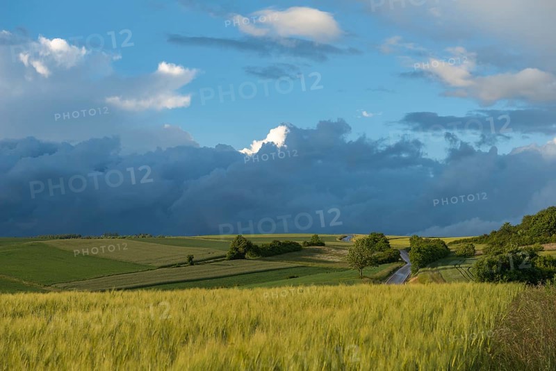 Dramatic cloudy sky with approaching storm and last rays of sunshine, Frankenhain, dark cloud wall, cumulonimbus and cumulus clouds, thunderstorm in the lift, low mountain landscape, agriculture, forest, grain field, backlight shot, country road, municipality of Berkatal, Werra-Meissner-Kreis, Hesse, Germany