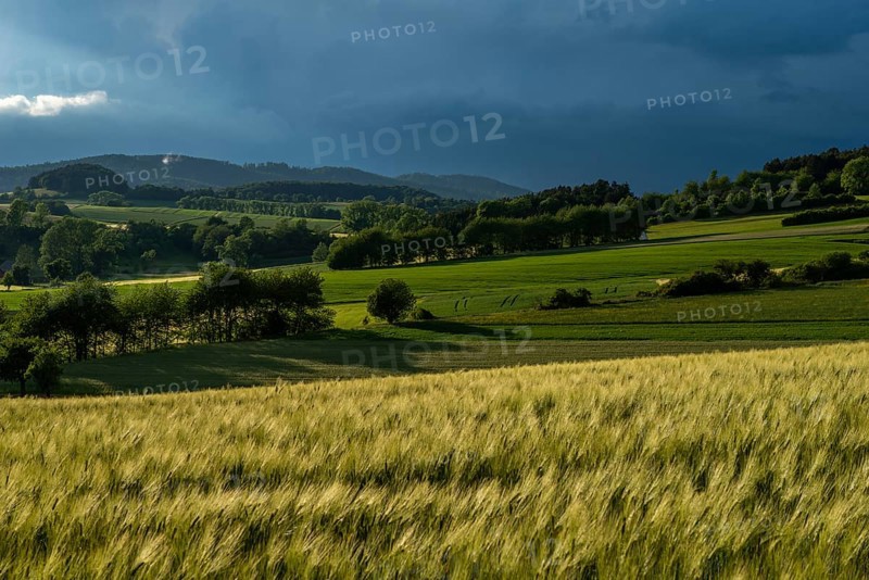Dramatic cloudy sky with approaching storm and last rays of sunshine, Frankenhain, dark cloud wall, thunderstorm in the lift, low mountain landscape, agriculture, forest, grain field, backlight shot, municipality of Berkatal, Werra-Meissner-Kreis, Hesse, Germany