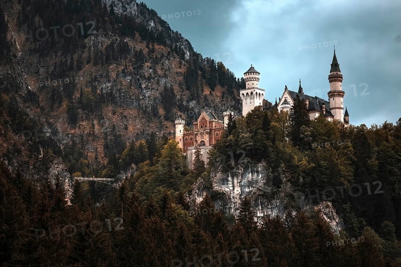 The fairytale Neuschwanstein Castle on a wooded hill against a mountain backdrop, Schwangau, Bavaria