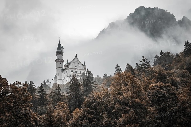 The romantic Neuschwanstein Castle in the middle of a misty, autumnal forest, Schwangau, Bavaria