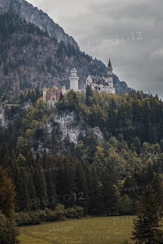 The majestic Neuschwanstein Castle rises above a dense forest on a mountain under a cloudy sky, Schwangau, Bavaria