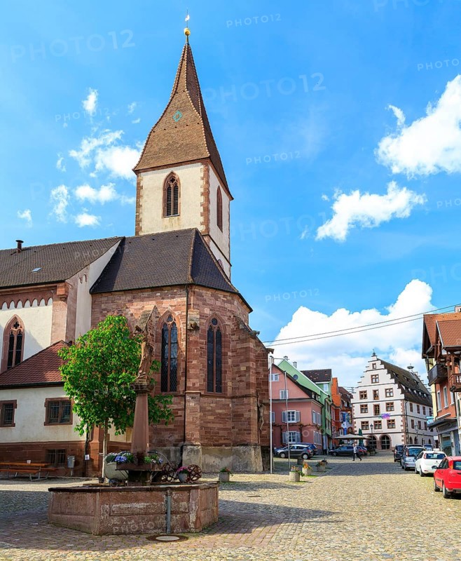 Market square with St Martin's pilgrimage church and St Mary's fountain, in the background the town hall with its striking stepped gable, Endingen am Kaiserstuhl, Baden-Württemberg, Germany