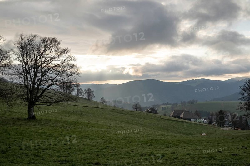 View from Schauinsland to the east with the mountains of the Black Forest in the morning, Oberried, Black Forest, Baden-Württemberg, Germany