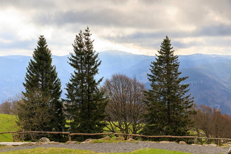View from the Schauinsland tower to the Feldberg, which is still partly shrouded in fog, Schauinsland, Oberried, Black Forest, Baden-Württemberg, Germany