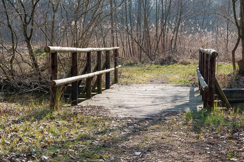 Wooden bridge over the Otterbach, Steinfeld, Southern Palatinate, Rhineland-Palatinate, Germany