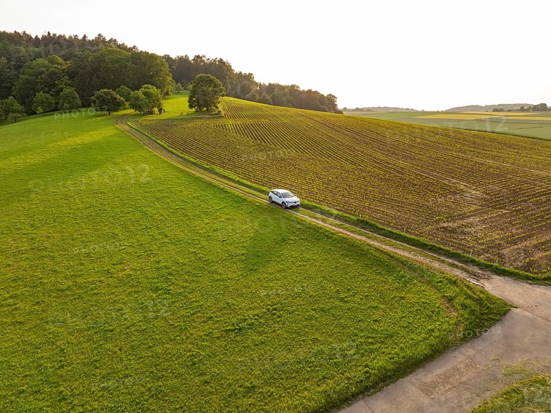 Small car drives along a country road through green fields and rows of trees, Renault Megane, Deer E Carsharing, electric car, Calw, Black Forest, Germany