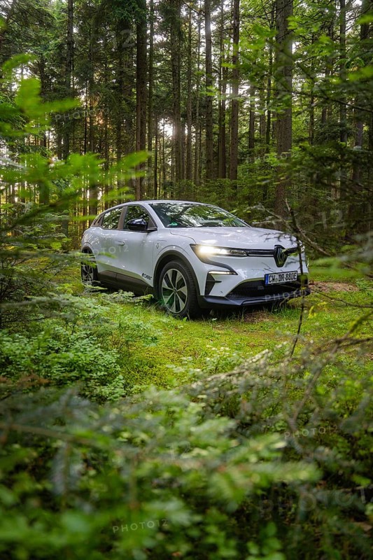 White car visible through dense vegetation in a summer forest, Renault Megane, Deer E Carsharing, electric car, Calw, Black Forest, Germany