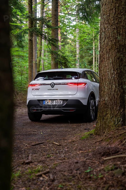Rear view of a white car between trees in a dense forest on a forest path, Renault Megane, Deer E Carsharing, electric car, Calw, Black Forest, Germany
