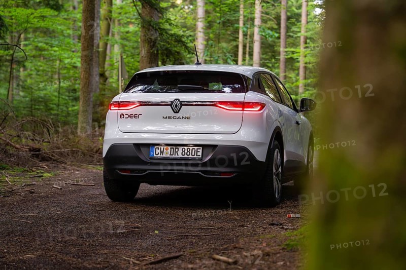 White car from behind on a forest floor surrounded by lush greenery and trees, Renault Megane, Deer E Carsharing, electric car, Calw, Black Forest, Germany