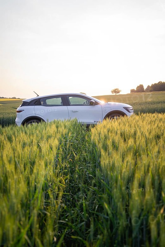 Car driving through green field at sunset, surrounded by tall grass, Renault Megane, Deer E- Carsharing, electric car, Gechingen, Germany