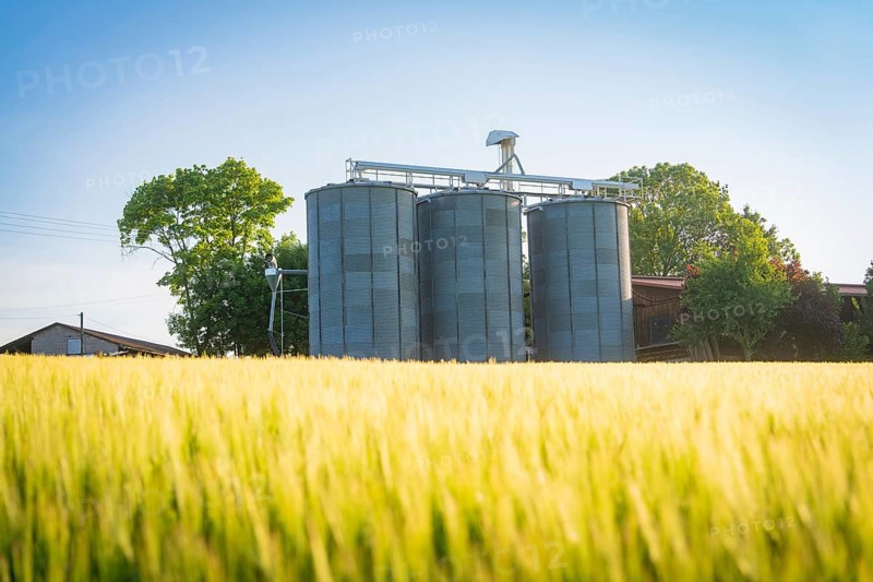 Three tall silos stand behind an extensive grain field under a bright sky, Gechingen, Hecken and Gäu region, Calw district, Germany