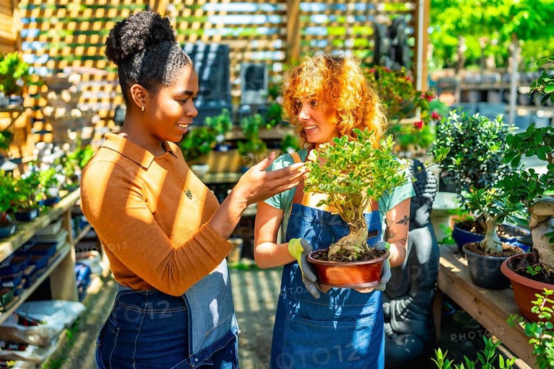 Gardener holding a bonsai and talking about it with a customer in a plant nursery on a sunny day