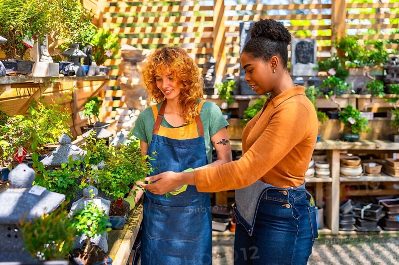 Two women working in a garden center taking care of bonsai plants, one of them is showing a small tree to a customer