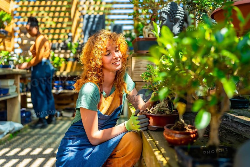 Female gardener nurturing a bonsai tree while tending to plants in a vibrant greenhouse at a local plant nursery, exuding tranquility and focus