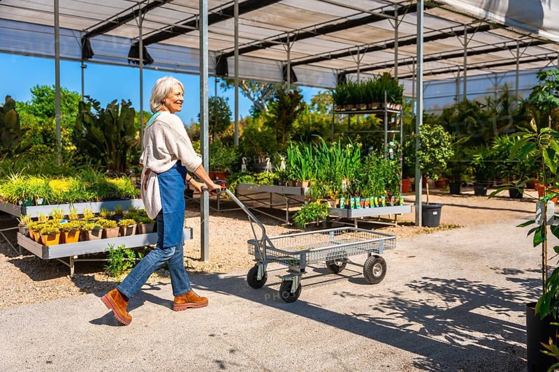 Senior gardener pushing a cart in a plant nursery greenhouse, surrounded by various plants and flowers