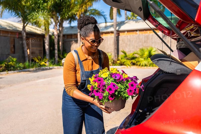 Young woman gardener carefully placing colorful petunia flower pots into the trunk of her red car on a sunny day, ready for delivery or planting