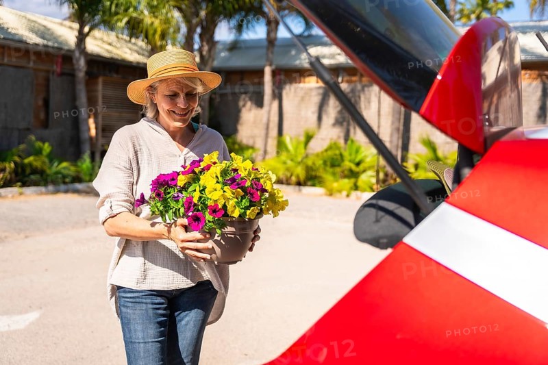 Happy senior woman carrying colorful petunias in a pot to the open trunk of her red car, ready for a sunny day trip