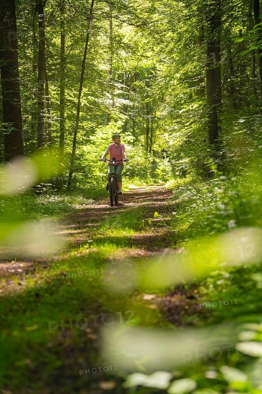 Person riding a bicycle on a shady forest path, surrounded by green nature, Gechingen, Black Forest, Germany