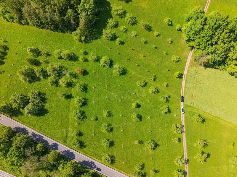 Aerial view of a tree-lined meadow next to a road, orchards, compensation project for the Hermann Hesse railway to promote endangered species, Althengstett, Germany