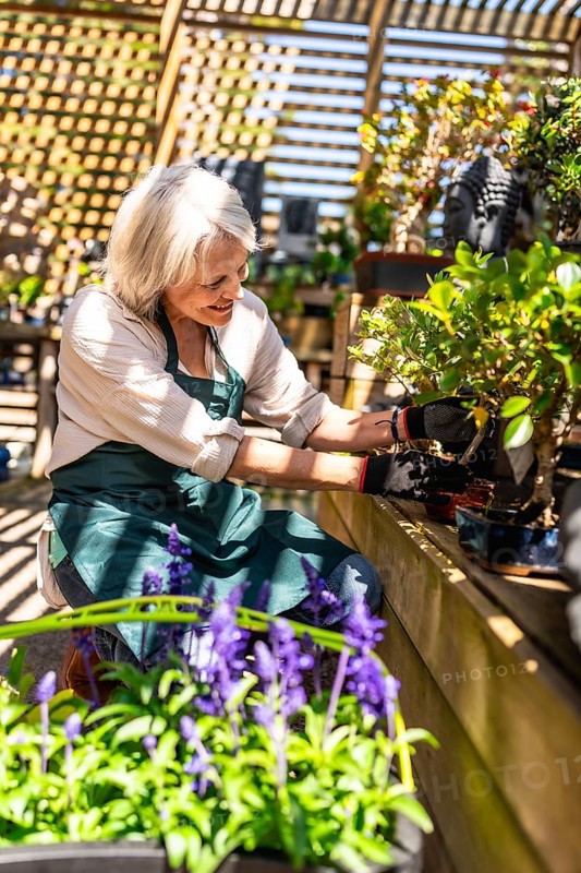 Happy gardener pruning a bonsai tree in a sunlit greenhouse, surrounded by vibrant plants and flowers, radiating joy and tranquility